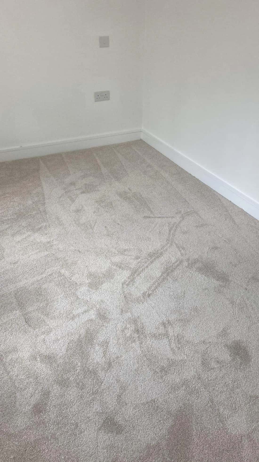 Light carpet fitted through an empty room