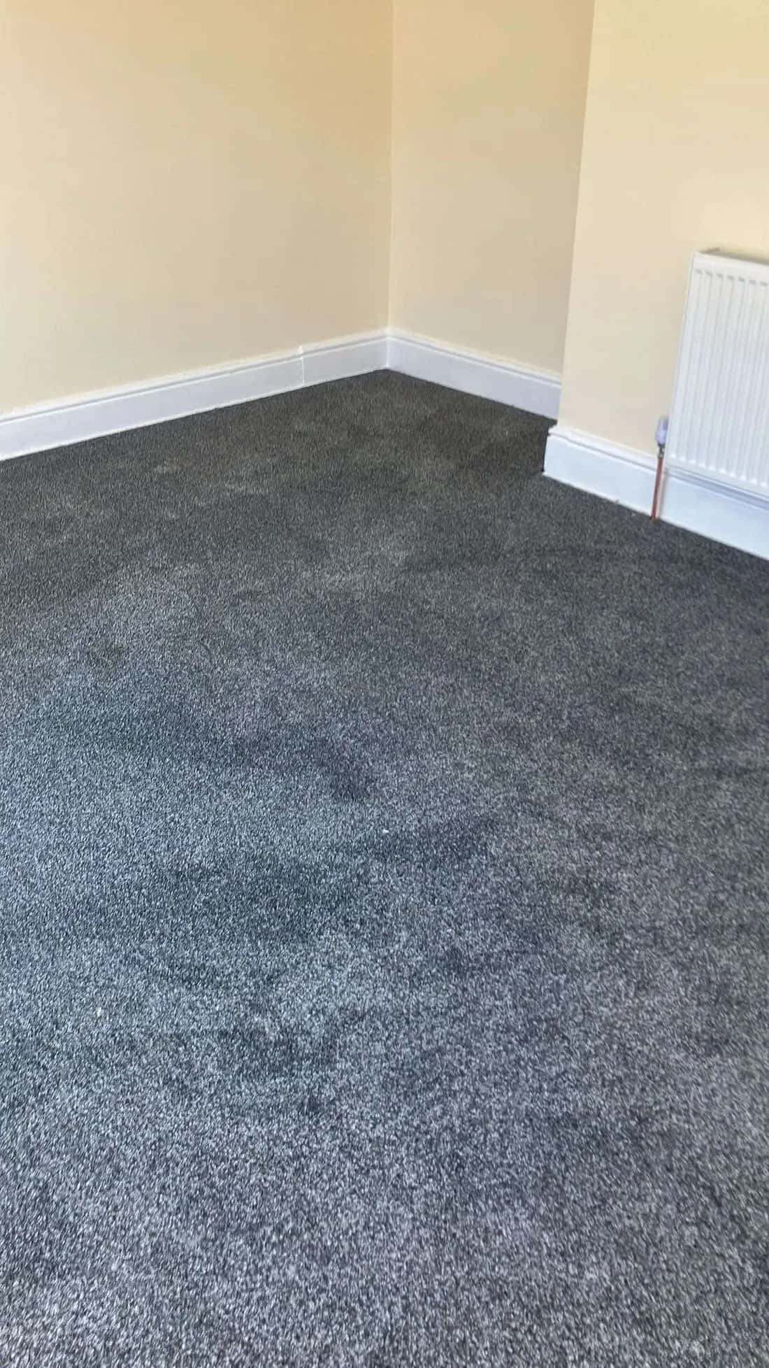 Deep navy carpet fitted wall to wall in an empty room