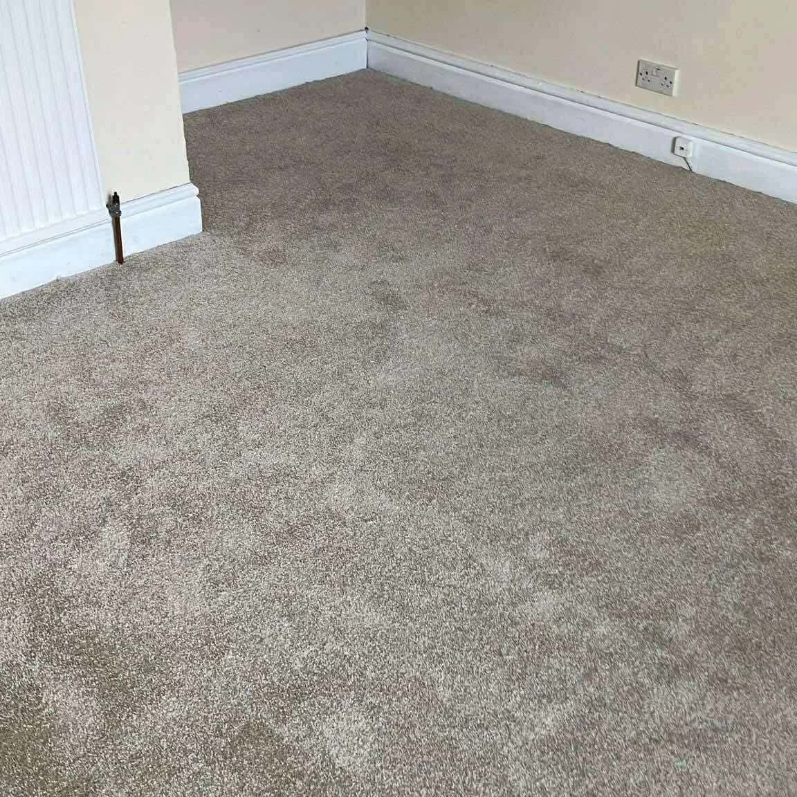 Deep pile grey carpet fitted wall to wall in an empty room, cut in to the skirting