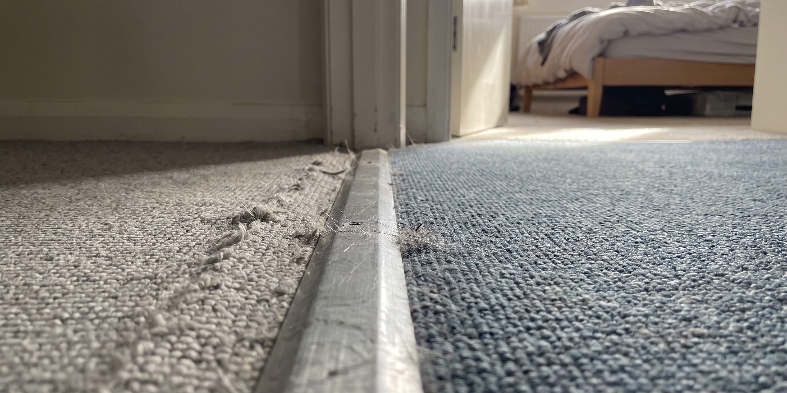 Close-up photograph of a carpeted hallway floor meeting a bedroom through a doorway, with a metal threshold strip dividing flattened, frayed grey carpet in the hallway from thicker, richer blue-grey carpet still upright in the sunlit bedroom beyond.